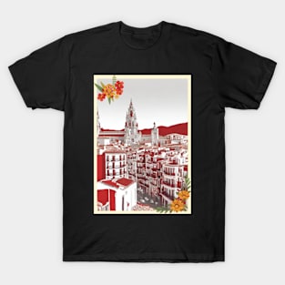 Spain vintage travel tourism 5 T-Shirt